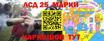 кокс Кингисепп