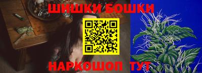 кокс Кингисепп