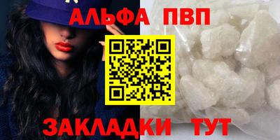 кокс Кингисепп