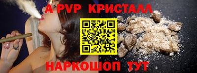 кокс Кингисепп